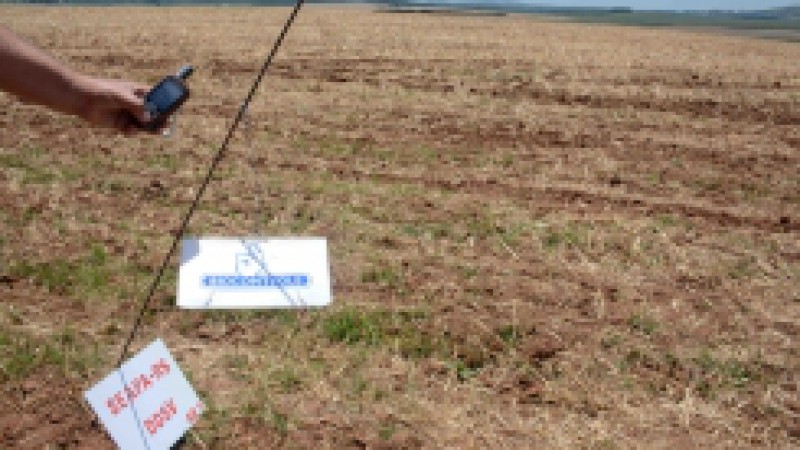 Uma força-tarefa da defesa vegetal da Secretaria da Agricultura, Pecuária e Agronegócio (Seapa) vai intensificar a partir desta segunda-feira (16) as ações de vigilância combate à incidência da Helicoverpa armigera (lagarta) nas lavouras de soja do