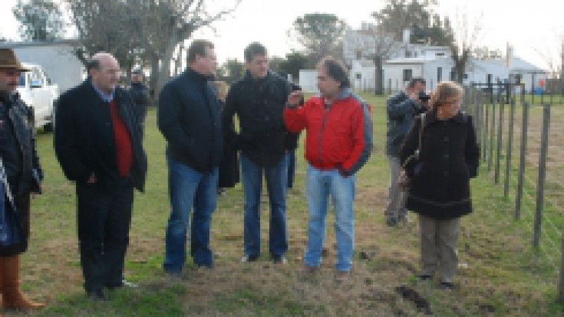 A identificação individual do rebanho bovino uruguaio não resolveu todos os problemas da produção de carne do País vizinho, mas começou a abrir as portas para credenciar esta cadeia produtiva como uma das mais respeitadas no mundo. Esta foi a principal
