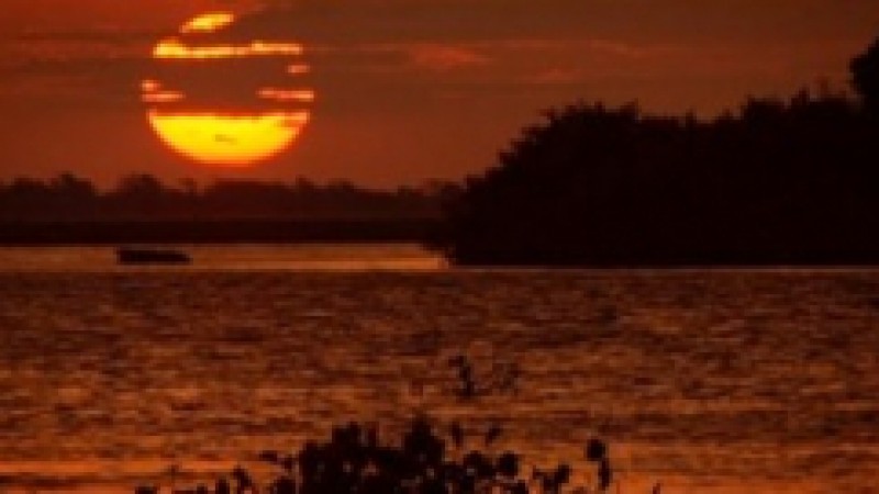A série Pantanal: um olhar sobre o patrimônio natural da humanidade estreia na TVE, nesta quarta-feira (24), às 0h30. A produção audiovisual é considerada o maior e mais completo documento em vídeo já produzido sobre esse santuário ecológico brasileiro.