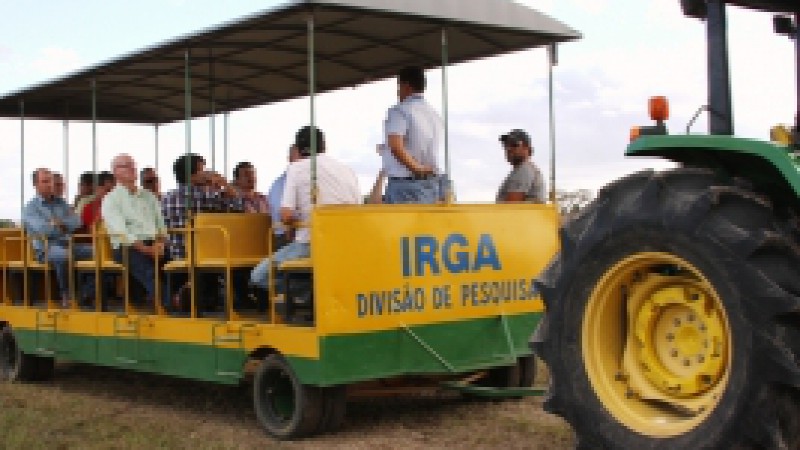 Agricultura