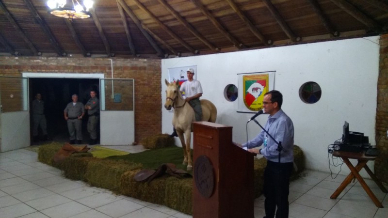 Leilão de equinos