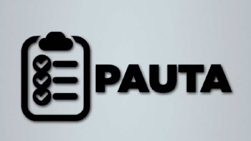 pauta500