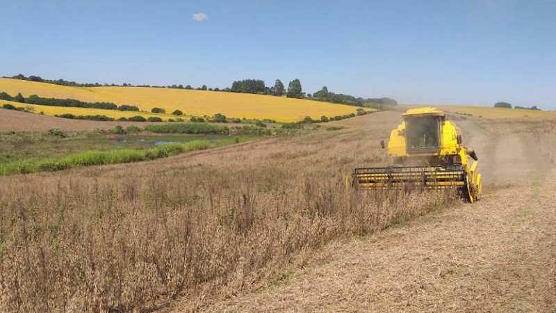 colheita lavoura soja RS