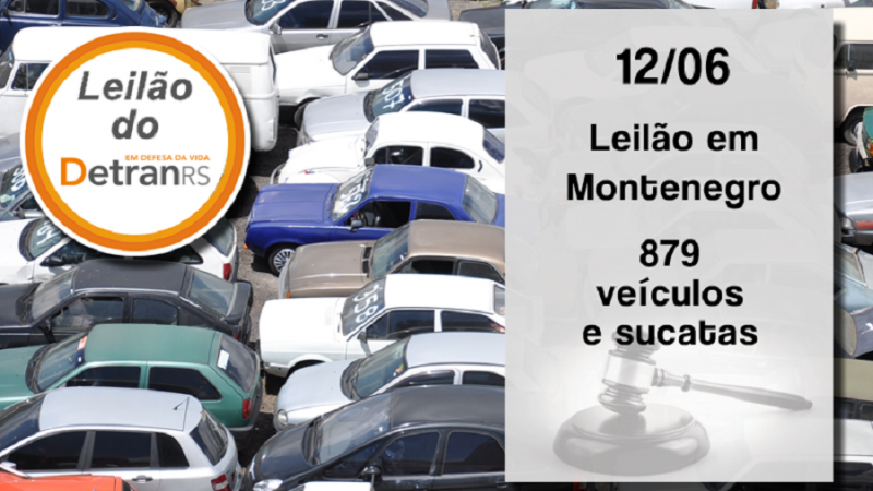 leilao montenegro detran